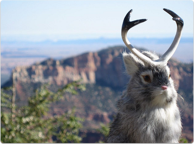 jackalopes-are-real-so-are-virtual-log-files_ibbrwc