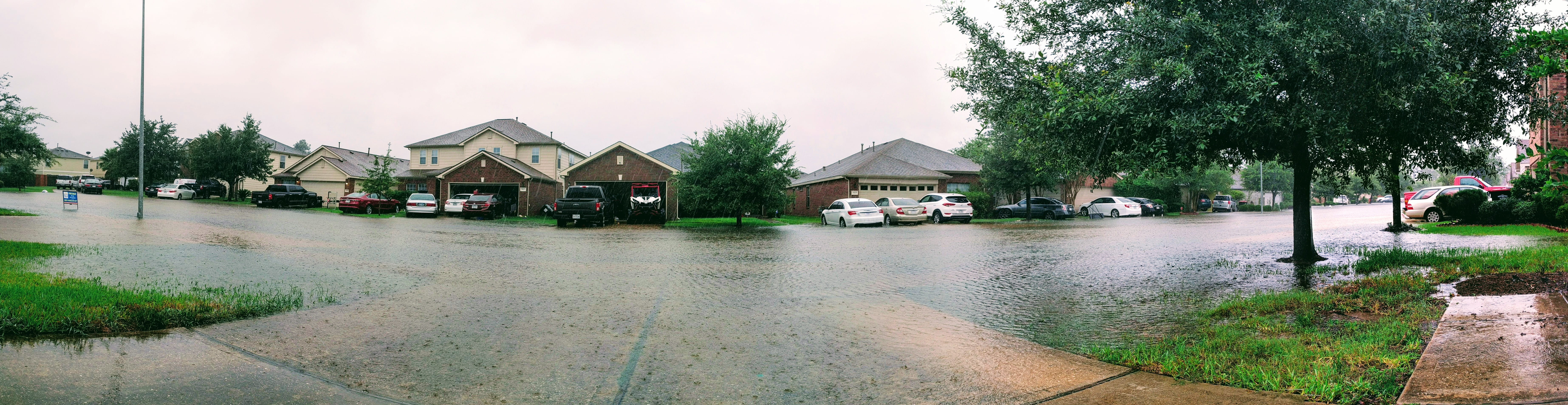 The view from my driveway. I was seriously blessed, as many others were not as high