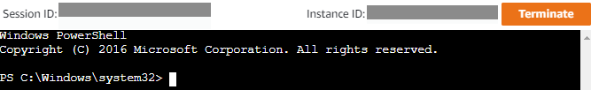 Interactive PowerShell Prompt on Remote Instance
