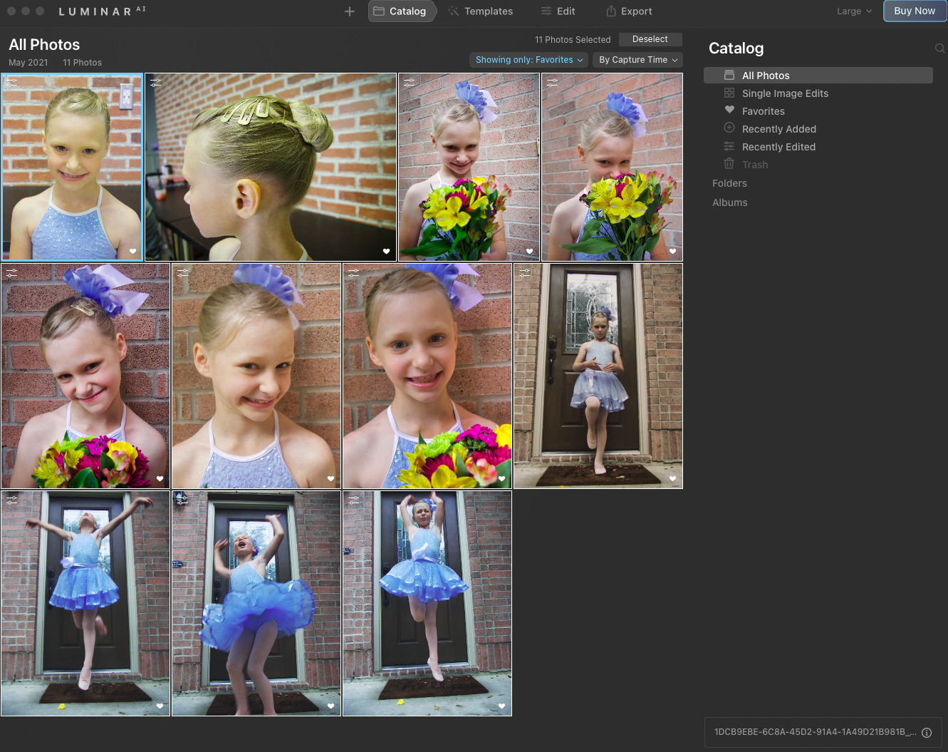 All Photos View 2021-05-24-18.20.37-Luminar AI