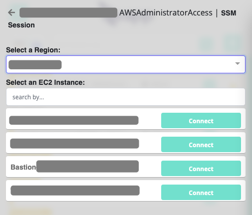 leapp aws ssm launcher leapp AWS ssm launcher