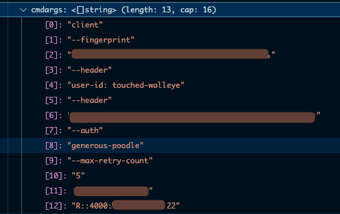 Debug Variables Debug Variables